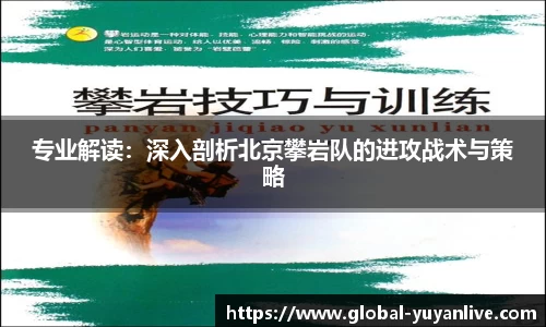 雨燕体育直播APP